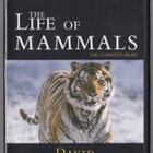 Nisäkkäiden maailma / The life of mammals (4DVD) [yli 8h.] - pikkukuva 1