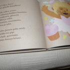 Saara Obele Pikkuisen pihan porukka - pikkukuva 3