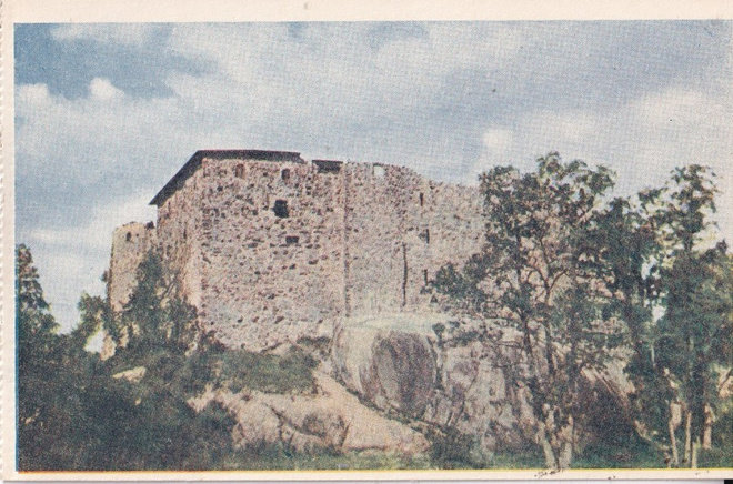 Raasepori, A. V. Heikkinen  b578