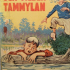 Enid Blyton: S:t Clare Tvillingarna! DE FYRA! Skattsökarna - pikkukuva 2
