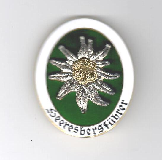Wehrmacht Heeresbergführerin merkki