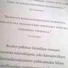 Ondaatje Michael: Anilin Varjo - pikkukuva 3