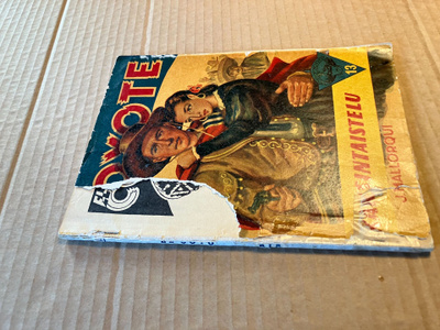 EL COYOTE 13