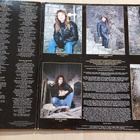IRON MAIDEN  – FEAR OF THE DARK  orig. EU 1992    LP  EMI 79 - pikkukuva 3
