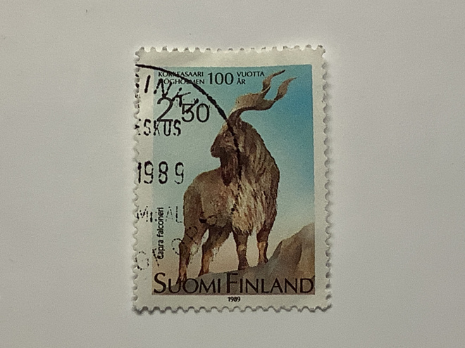 1085 / 1989 Korkeasaari - kierresarvivuohi o leimattu