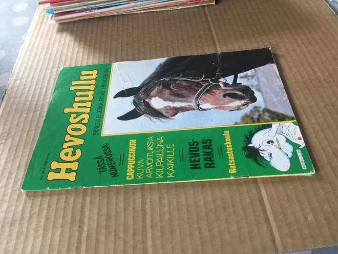 HEVOSHULLU 24/1983 HYVÄ