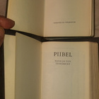 Piibel ja uus testament laulud ja 3 muuta - pikkukuva 1
