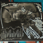 SHOCKABILLY ~ Vietnam ~ LP Eugene Chadbourne - pikkukuva 2