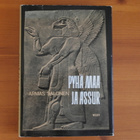 Armas Salonen:Pyhä maa ja Assur.Sid. - pikkukuva 1