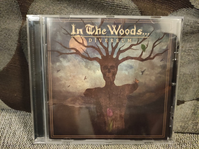 In The Woods... - Diversum (2022)