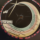 Lake Shore Drive - The Disco Scene - pikkukuva 2