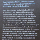 Juha Jormanainen: Kuningaskalastaja - pikkukuva 2