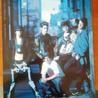New Kids On The Block - valokuva-albumi - A3 - 1991 - pikkukuva 3