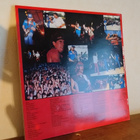 Molly Hatchet – Double Trouble Live 2 LP - pikkukuva 2