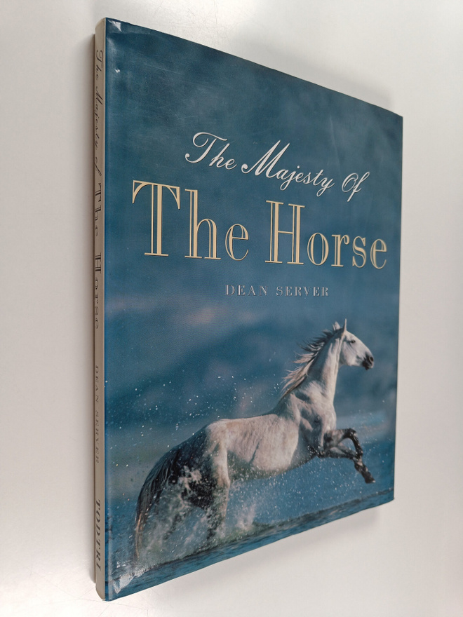 Dean Server : The majesty of the horse