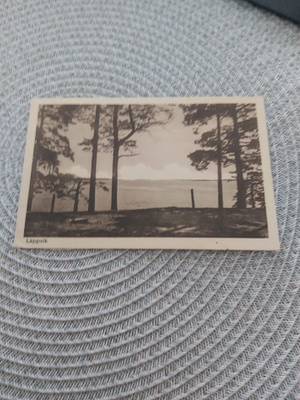 Lappvi kortti