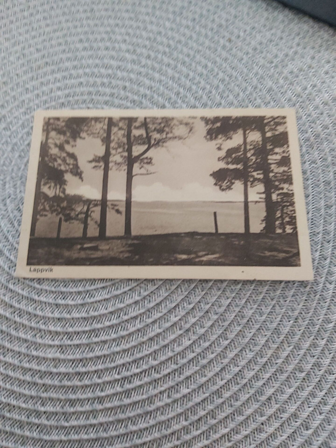 Lappvi kortti