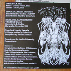 Torsofuck – Erotic Diarrhea Fantasy (rare vinyyli 2017) - pikkukuva 5
