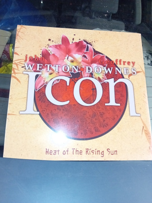 2LP WETTON / DOWNES : ICON ( UUSI  ) numeroitu, SIS POSTIKUL
