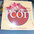 2LP WETTON / DOWNES : ICON ( UUSI  ) numeroitu, SIS POSTIKUL - pikkukuva 1