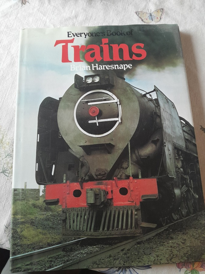 everyone s book of trains