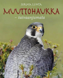 Jorma Luhta - Muuttohaukka