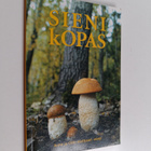 Anne Mattsson : Sienikopas - pikkukuva 1
