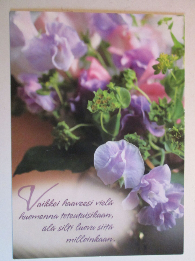 KULKEMATON ORVOKIT JA MIETELAUSE ROISKO & RAMSTADIUS