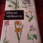 OTAVAN VÄRIKASVIO - pikkukuva 1
