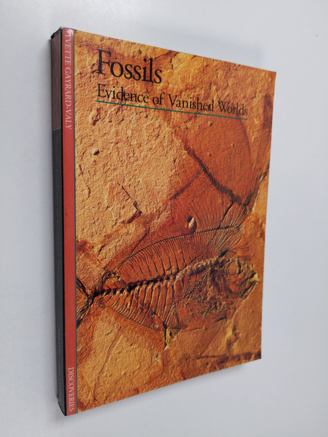 Yvette Gayrard-Valy : Discoveries: Fossils