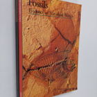 Yvette Gayrard-Valy : Discoveries: Fossils - pikkukuva 1