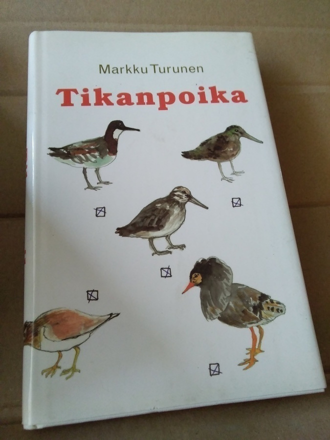 Markku Turunen: Tikanpoika