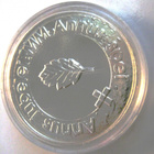 Kirkon riemuvuosi (Ag 925) PROOF 100 mk (Lh.lape 2019 120e) - pikkukuva 2