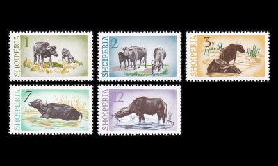 Albania 921-5 ** Vesipuhvelit (1965)