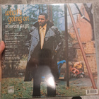 Marvin Gaye – What's Going On Lp - pikkukuva 2