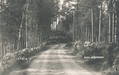PUNKAHARJU - vanha kortti