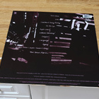 Suzanne Vega LP - pikkukuva 2