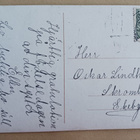HIenot herrat tuovat koruja ja kukkia onnitteluina,runo 1919 - pikkukuva 2