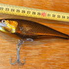 Rapala SSR 14cm 5 - pikkukuva 1