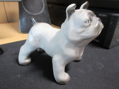 ARABIA BULLDOG KOIRA