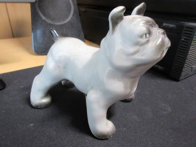 ARABIA BULLDOG KOIRA