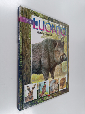 Arturo Arzuffi : Elävä luonto : Metsän eläimiä