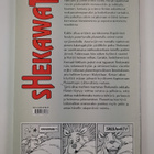 Pierre-Yves Gabrion : Shekawati Jumalten lapsi - pikkukuva 2