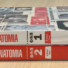 Greyn anatomia: Kausi 2 (2005-2006) 8DVD (UUSI) - pikkukuva 4
