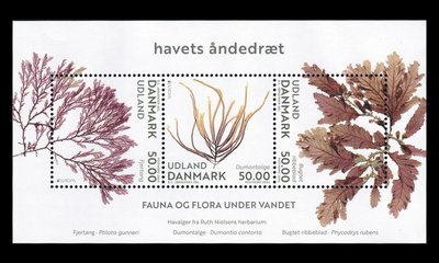 Tanska 2135-7BL86 ** Europa vedenalainen luonto (2024)