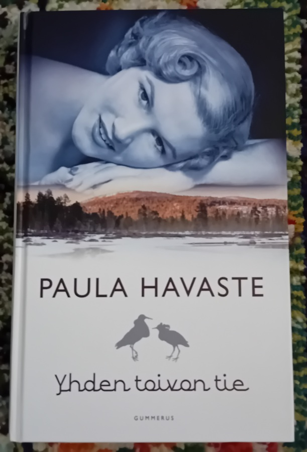 Paula Havaste - Yhden toivon tie