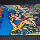 Tarzan lahjakirja 1975 : Pacombain aarre - pikkukuva 1