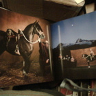 Yann Arthus-Bertrand  HEVOSET  ( 1 p. 2005 ) Sis. postikulut - pikkukuva 2