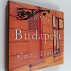 Laszlo Lugosi Lugo : Budapest castle district - pikkukuva 1