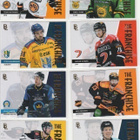 2024/25 Blueline Franchise Gold /500 kortit 3e kpl - pikkukuva 1